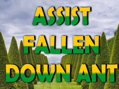 Spiel  Assist Fallen Down Ant