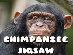 Spiel Chimpanzee Jigsaw