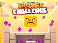 Spiel Sponge Challenge