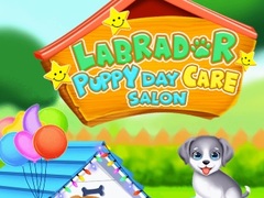 Spiel Labrador Puppy Daycare Salon