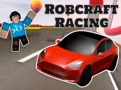 Spiel Robcraft Racing