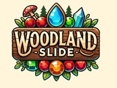 Spiel Woodland Slide