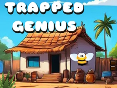 Spiel Trapped Genius