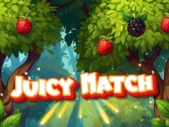 Spiel Juicy Match