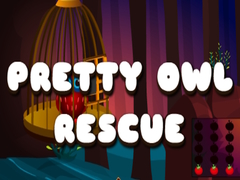 Spiel Pretty Owl Rescue