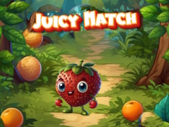 Spiel Juicy Match