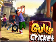 Spiel Gully Cricket