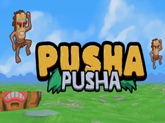 Spiel Pusha Pusha