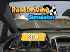 Spiel Real Driving Simulator