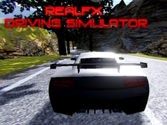 Spiel RealFX Driving Simulator