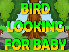 Spiel Bird Looking For Baby