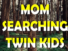 Spiel Mom Searching Twin Kids