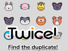 Spiel Twice! Find the Duplicate!