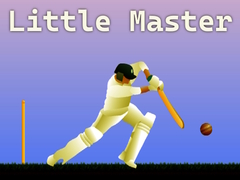 Spiel Little Master