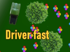 Spiel Driver fast