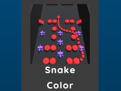 Spiel Snake Color