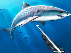 Spiel Hunting Underwater Spearfishing
