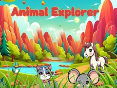 Spiel Animal Explorer 