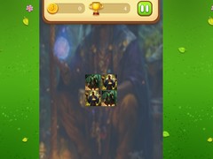 Spiel Magic Druid Memory Match
