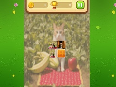 Spiel Farm Cat Memory Match