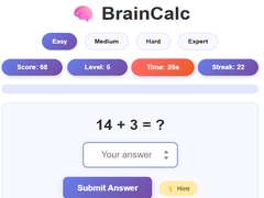 Spiel BrainCalc