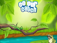 Spiel Colour Catch