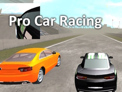 Spiel Pro Car Racing