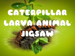 Spiel Caterpillar Larva Animal Jigsaw