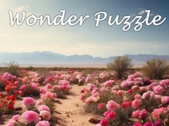 Spiel Wonder Puzzle