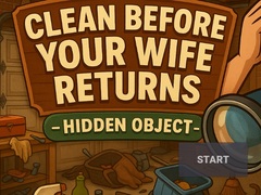 Spiel Clean Before Your Wife Returns Hidden Object