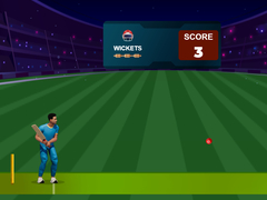 Spiel Cricket Night 2
