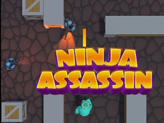 Spiel Ninja Assassin