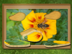 Spiel Find & Restore: Hidden Puzzle