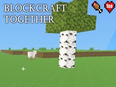 Spiel BlockCraft Together