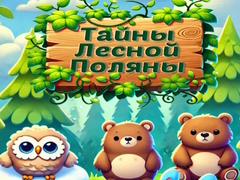 Spiel Forest Glade Mysteries