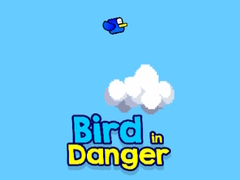 Spiel Bird in Danger