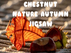 Spiel Chestnut Nature Autumn Jigsaw