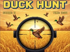 Spiel Duck Hunt