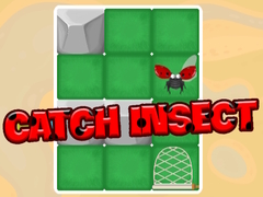 Spiel Catch Insect