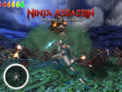 Spiel Ninja Assassin 