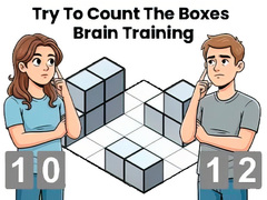 Spiel Try To Count The Boxes Brain Training