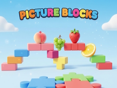 Spiel Picture Blocks