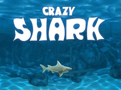 Spiel Crazy Shark