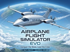 Spiel Airplane Flight Simulator EVO