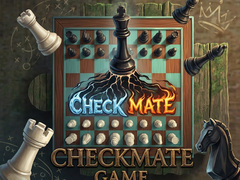 Spiel Checkmate Game