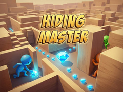 Spiel Hiding Master