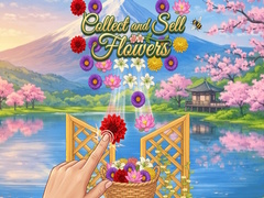Spiel Collect and Sell Flowers