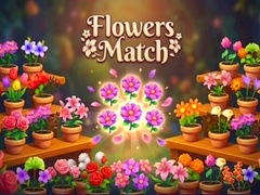 Spiel Flowers Match