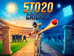 Spiel 5TO20 Cricket
