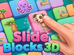 Spiel Slide Blocks 3D
